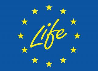 Logo LIFE Programme