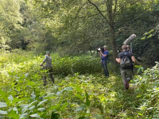 Actionday at the Tüljebach