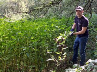 Actionday at the Tüljebach
