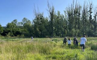 Trinationaler Aktionstag