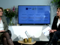 BRUELL-PAULUS Co-Moderation