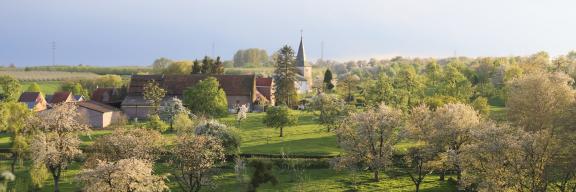 Haspengouw Grootloon RLHV © Frederik Santermans