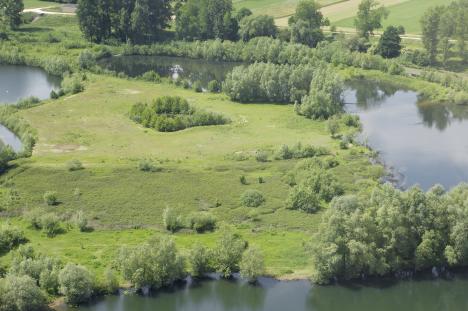 Nature-based solutions: River floodplain in the Meuse Valley © Provincie Limburg B