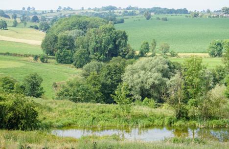 Natural water retention in the Natagora site nearby Hombourg  © Jaap Goudriaan