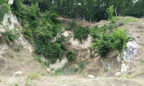 Natura-2000 Gebiet am Montagne St-Pierre © Anja Brüll