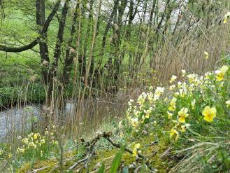 Space for Green Infrastructure