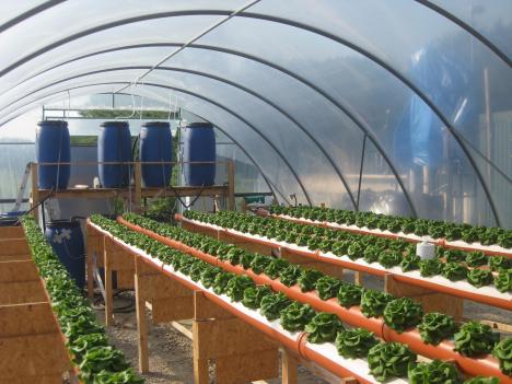 Hypowave - pilot greenhouse Braunschweig