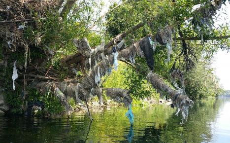 Plastikmüll in der Maas nach mehreren Hochwassern