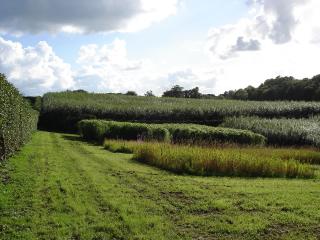 Pâturages en rotation courte (projet EU BIOPROS) © Steffen Föllner